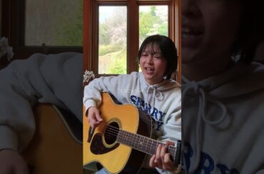 Don't cry anymore / miwa (cover) 【弾き語り】