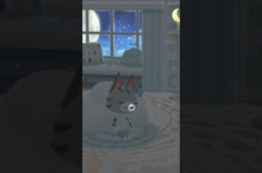 #ポケ森 星降るベッドルーム💫レムクッキー #ポケ森レイアウト #ポケットキャンプ #ポケ森コンプリート #どうぶつの森 #ポケットキャンプ