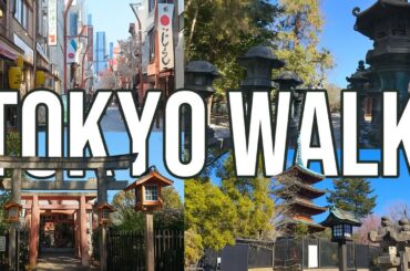 🇯🇵 Tokyo Walking Tour 2025 | Explore Shrines, Streets & Serenity in 4K