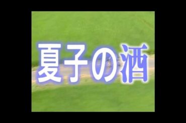 熊谷幸子 『夏子の酒』OP