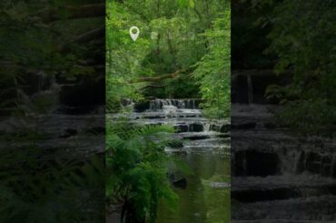 cheQin.ai | My Magical Kerala Journey 🌴 + Real-Time Hotel Booking Hack! #cheqinai #shorts #reels