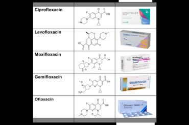 フルオロキノロン系抗生物質の概要：作用機序、例、用途