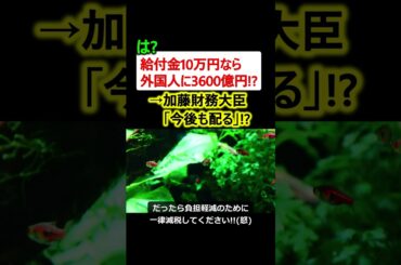 【は?】給付金10万円なら外国人に3600億円!?→加藤財務大臣「今後も配る」!?