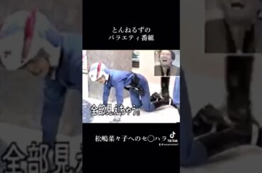 とんねるずのバラエティ番組と松嶋菜々子