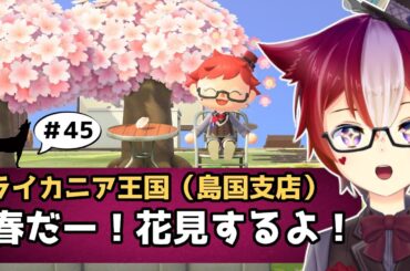 【雑談/あつ森 #45】花粉症を気にせずにお花見ができるゲーム‼ あつまれどうぶつの森【Vtuber/雪星ケン】