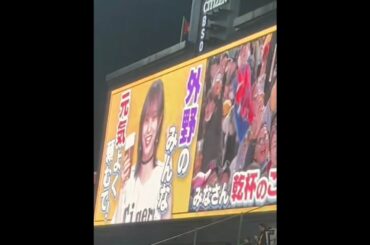 山本彩、甲子園で「乾杯」披露！2025年阪神戦 飯テロ級の盛り上がり！#阪神タイガース #甲子園 #山本彩