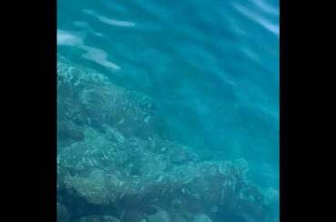 【シャワー浴】温まるコツ