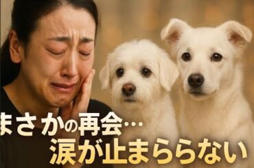 「エアロかと思った」浅田真央がAIで犬に変身…昨年亡くなった愛犬との“奇跡”にファン感動！
