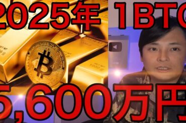 金最高値に追従して2025年仮想通貨ビットコイン 40万ドル (5,600万円)、2030年1億円超え?!
