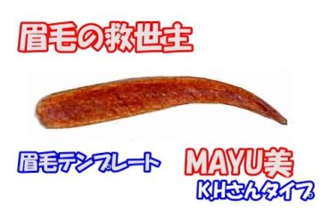 眉毛サロンのようなきれいな眉がたった１分で簡単に描ける眉毛テンプレート『MAYU美』K.Hさんタイプ