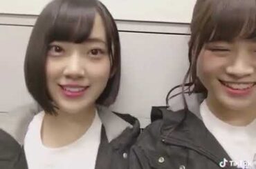 堀未央奈＆山崎怜奈#かわいい