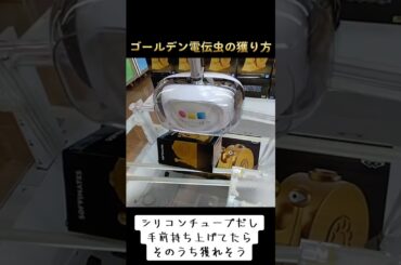 #ゲーセン #クレーンゲーム #攻略 #末広がり #ワンヒース #ゴールデン電伝虫 #電伝虫  クレーンゲーム ゲーセン  TikTok