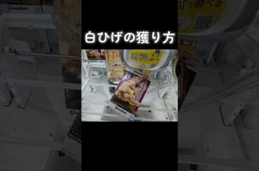 #ゲーセン #クレーンゲーム #攻略 #橋渡し #ワンピース #白ひげ  TikTok