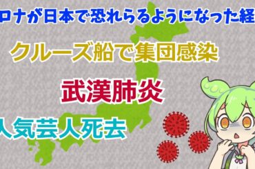 新型コロナウイルスが日本で恐れられるようになった経緯【ずんだもん】 #ずんだもん #コロナ