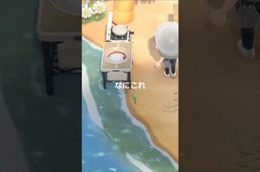 あつ森5年目にしてハマった可愛すぎる植物たち…🌿 #あつ森 #島クリエイト #acnh