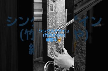 シングルアゲイン(竹内まりや)のサックス演奏練習中