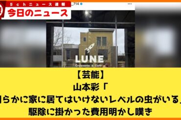 【2chニュース】【芸能】山本彩「明らかに家に居てはいけないレベルの虫がいる」駆除に掛かった費用明かし嘆き  [ネギうどん★]【2chまとめ】