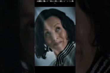 11  夜行観覧车#鈴木京香#サスペンス#youtube #テレビシリーズ #編集 #fyp