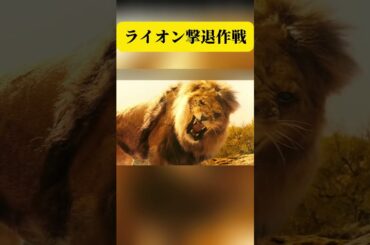 ライオン撃退作戦  #映画紹介