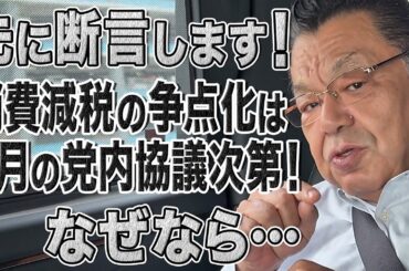 【消費税減税】注目は５月！参院選で争点化するか否かは自民党の党内協議次第です！結論次第では…