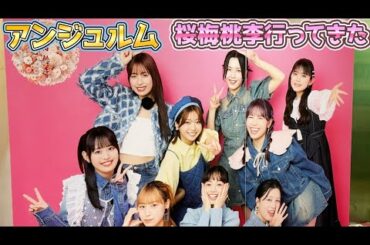 ハロプロトーク！アンジュルムかみこ最後のツアー「桜梅桃李」に行ってきたよぉ😊　#shorts #アンジュルム #ハロプロ