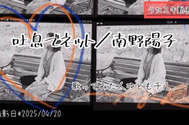 南野陽子／吐息でネット【うたスキ動画】No.076