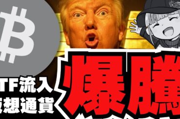 【急騰】ビット金9.3万ドル突破！仮想通貨バブル来るか／関税戦争は？利下げが近づく／注目コイン３選【XRP】
