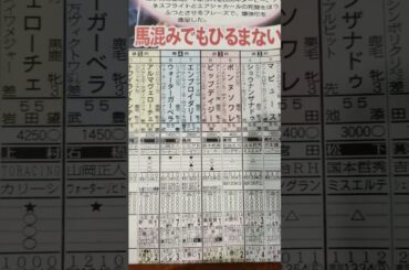 競馬予想（桜花賞）