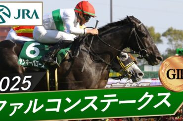 2025年 ファルコンステークス（GⅢ） | ヤンキーバローズ | JRA公式