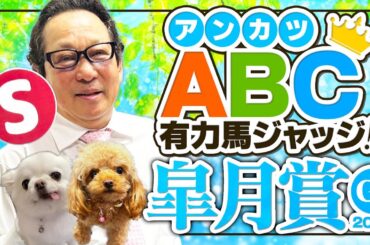 【皐月賞 予想】クロワデュノールの相手に買うべき穴馬はコレ！アンカツの出走馬ジャッジ【安藤勝己】