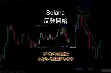 Solana反発開始。暗号資産（仮想通貨）【SOL】 #暗号資産 #仮想通貨 #sol #solana
