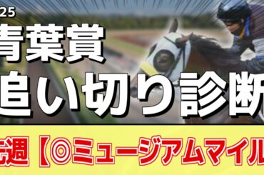 追い切り徹底解説！【青葉賞2025】ファイアンクランツ、エネルジコなどの状態はどうか？調教S評価は2頭！