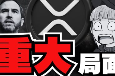 【XRP最新】リップルCEO発言！重要局面を迎え上昇？／ビットコイン準備金が各地で。覇権はどこが？／急上昇コイン