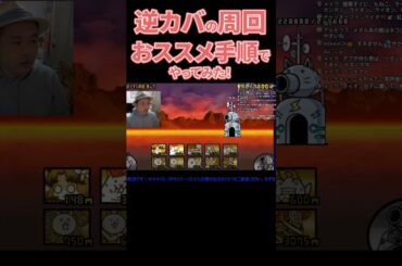 逆襲のカバちゃん、最速（？）手順で周回に挑戦‼エンジョイ勢でも、効率よく回りたい！ 【無課金です】【にゃんこ大戦争】#攻略 #逆カバ #周回編成　ゲームプレイ生配信799の切り抜き