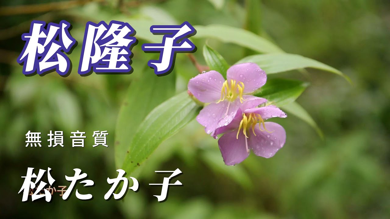 （松たか子）（無損音質）分享👍👍👍👍👍