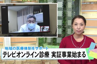 テレビオンライン診療 実証事業始まる（2024年10月29日）