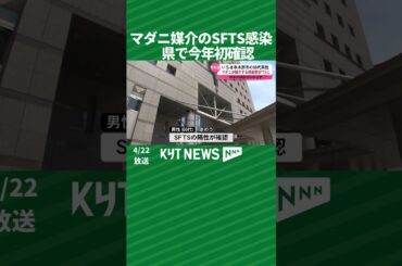 マダニ媒介のSFTS感染　県で今年初確認
