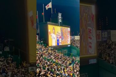 6回裏の甲子園 山本彩さんとの大乾杯！