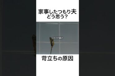 本当に家事できてる？  #夫はわたしじゃいけないの #ショートドラマ #bumpドラマ  #夫婦 #セックスレス