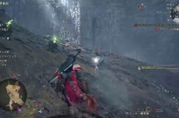 【モンハン】もあいの奴#初見歓迎#本田翼大歓迎#クリーンな配信者#顔出しVtuber