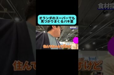 オランダにもバキ童ch視聴者はいるのか… #shorts