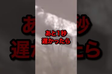 『あと1秒遅かったら…』津波が迫るバスの判断#東日本大震災