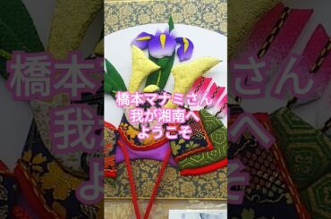 橋本マナミ #nostalgia #jpop #anime #film #祭り #ウルトラマンレオ #ゲームセンター #アニソン #お祭り #夏祭り