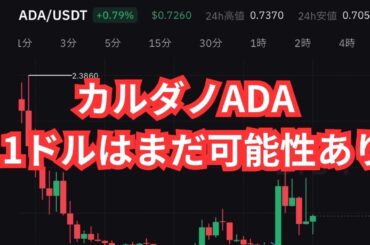 ビットコインは100万ドルを目指してるその時カルダノ(ADA)は.......
