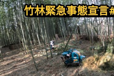 竹林緊急事態宣言#1