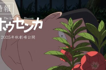 オリジナルアニメ映画『ホウセンカ』特報映像│2025年秋公開