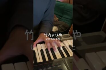竹内まりや / いのちのうた