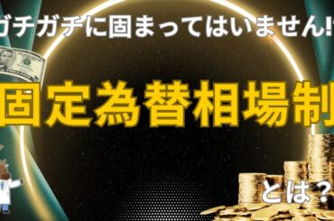 ガチガチに固まってはいません!?「固定為替相場制 」とは？～入門編～