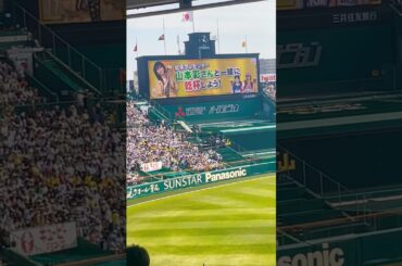 4月27日 6回裏の甲子園 山本彩さんと大乾杯！