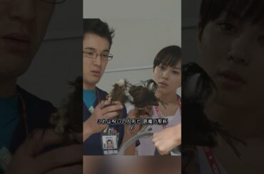 コード・ブルー-ドクターヘリ緊急救命- 山下智久、新垣结衣、户田惠梨香、比嘉爱未   #movie #shorts #action #drama #新垣结衣 #山下智久